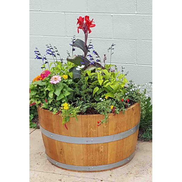 MGP Wood Barrel Planter & Reviews Wayfair
